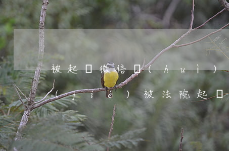 被起訴微信會(huì)會(huì)凍結(jié)(被法院起訴會(huì)不會(huì)凍結(jié)微信)
