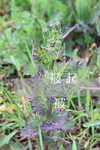 被起訴微信的錢凍結(jié)支付寶也會被凍結(jié)嗎（微信支付被凍結(jié)起訴）