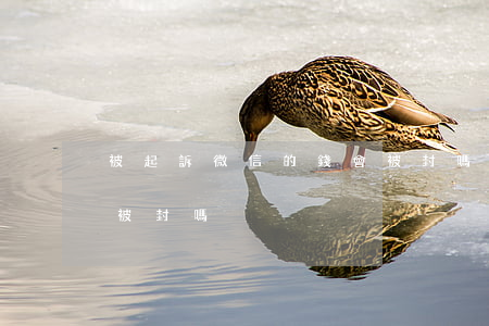 被起訴微信的錢會被封嗎（被起訴微信的錢會被封嗎）