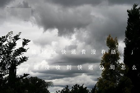 被起訴快遞費沒有結(jié)怎么處理(快遞沒收到快遞公司怎么賠付?)