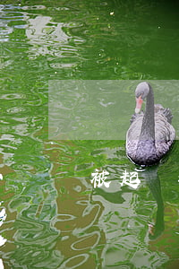 被起訴我該怎么應訴(被起訴了應該怎么做)