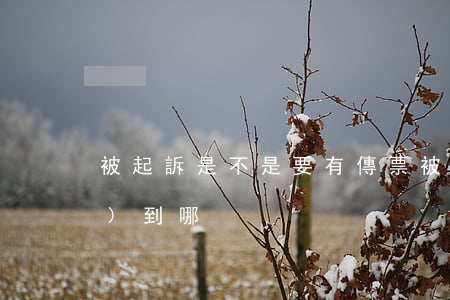被起訴是不是要有傳票(被起訴傳票發(fā)到哪)