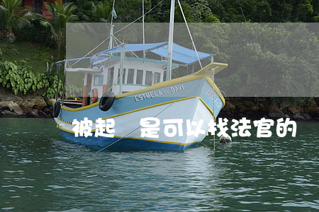被起訴是可以找法官的嗎?(打官司可以告法官嗎?)
