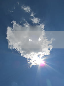 被起訴會有什么后果(欠債被起訴有什么后果)