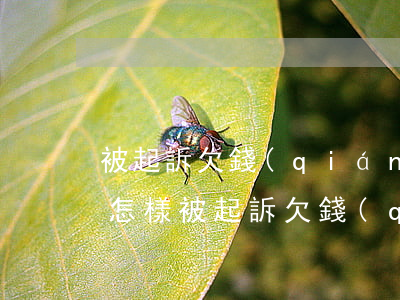 被起訴欠錢(qián)不還會(huì)怎樣(被起訴欠錢(qián)怎么辦)