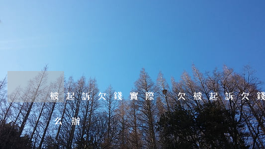 被起訴欠錢實際沒欠(被起訴欠錢實際沒欠怎么辦)