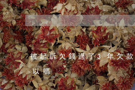 被起訴欠錢過了3年(欠款過了3年起訴還可以嗎?)