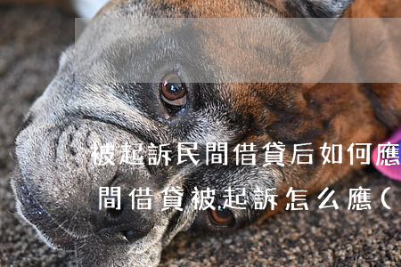 被起訴民間借貸后如何應(yīng)訴，民間借貸被起訴怎么應(yīng)訴