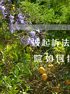 被起訴法院可以拍賣房產(chǎn)嗎(法院如何拍賣房產(chǎn))