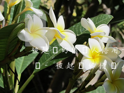被起訴的借錢人信用卡會被凍結(jié)嗎-被起訴的借錢人信用卡會被凍結(jié)嗎怎么辦