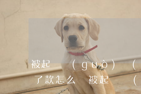 被起訴過(guò)網(wǎng)貸下不了款怎么辦（被起訴過(guò)網(wǎng)貸下不了）