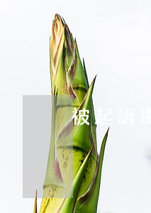 被起訴還能用支付寶