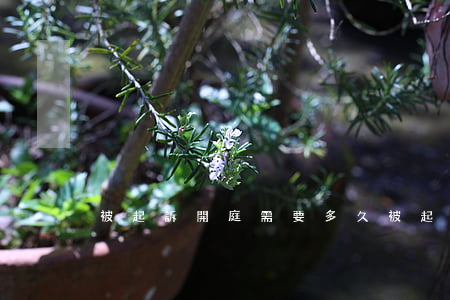 被起訴開庭需要多久(被起訴開庭費用怎么收)