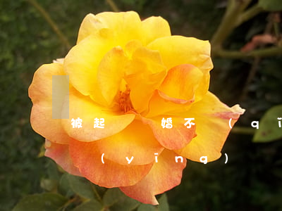 被起訴離婚不請(qǐng)律師自己如何應(yīng)訴(對(duì)方起訴離婚請(qǐng)了律師,我該怎么辦)