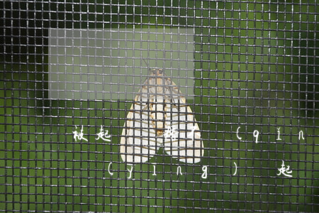 被起訴離婚不請(qǐng)律師自己如何應(yīng)訴，起訴離婚不請(qǐng)律師怎么起訴