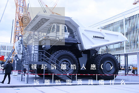 被起訴離婚人應(yīng)該準備什么(起訴離婚需要具備什么)