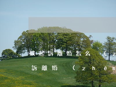 被起訴離婚怎么爭(zhēng)取小孩(起訴離婚爭(zhēng)取小孩撫養(yǎng)權(quán)范文)