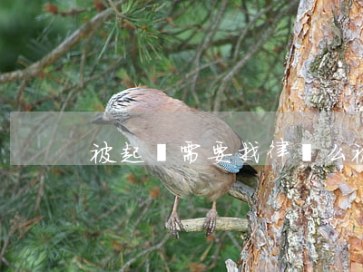 被起訴需要找律師么(被起訴了需要請律師嗎)