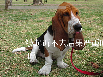 被起诉不去后果严重吗(被起诉不去后果严重吗)
