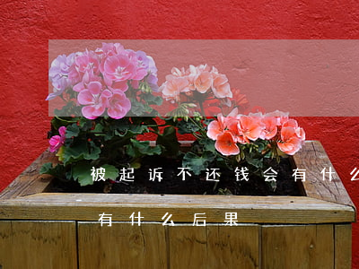 被起诉不还钱会有什么后果(被起诉不还钱会有什么后果)