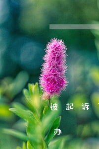 被起诉了不去怎么处理(起诉了被告不去怎么办)