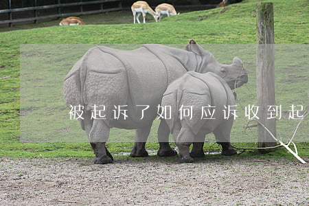 被起诉了如何应诉(收到起诉书如何应诉)