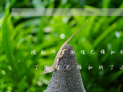 被起诉了微信已经扣钱了还用管吗-被起诉了微信已经扣钱了还用管吗怎么办
