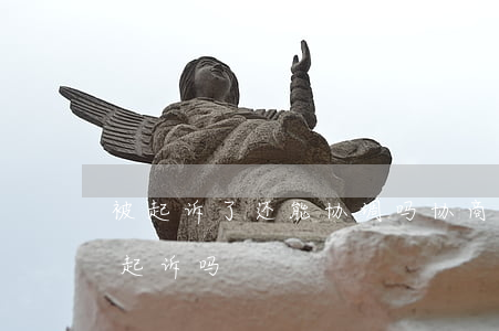 被起诉了还能协调吗(协商处理完后悔了还能起诉吗)