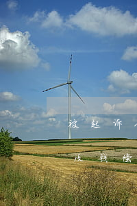 被起诉人确实没钱偿还怎么办(被起诉人确实没钱偿还怎么办)