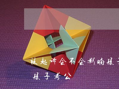 被起诉会不会影响孩子-被起诉会不会影响孩子考公
