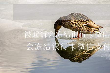 被起诉会冻结银行卡微信支付宝吗-被起诉会冻结银行卡微信支付宝吗安全吗