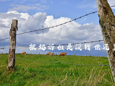 被起诉但是没钱偿还怎么办
