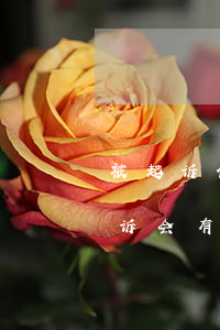 被起诉催缴物业费影响征信吗(欠物业费被起诉会有什么后果严重上征信吗?)