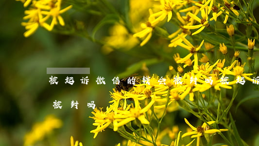被起诉微信的钱会被封吗（被起诉微信的钱会被封吗）