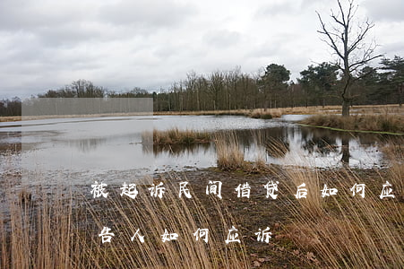 被起诉民间借贷后如何应诉(民间借贷诉讼被告人如何应诉)