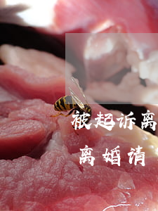 被起诉离婚不请律师自己如何应诉(对方起诉离婚请了律师,我该怎么办)