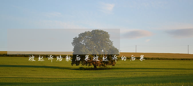 被起诉赔款后果(被起诉的后果)