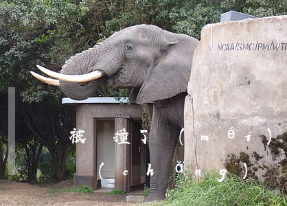 被車撞了沒(méi)有出現(xiàn)場(chǎng)沒(méi)有證據(jù)可以賠償嗎(被車撞了沒(méi)有證據(jù)怎么辦)