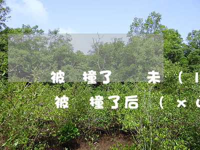 被車撞了賠償未來(lái)可期待性賠償(被車撞了后續(xù)賠償)
