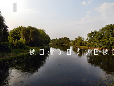 被車撞了賠多少錢(被車撞后賠償費要多少)