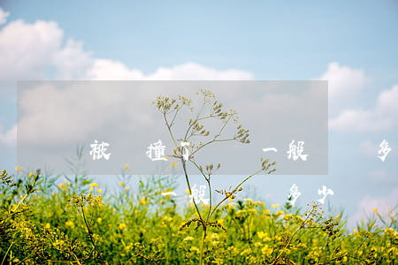 被車撞了輕傷一般賠償多少錢(上海被車撞了輕傷一般賠償多少錢)