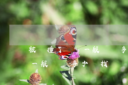 被車撞了輕傷一般賠償多少錢?(被車撞了輕傷一般賠償多少錢找誰賠)