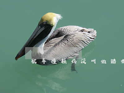 被车撞轻伤没叫他赔偿(被撞轻微伤赔偿多少)