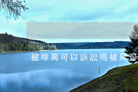 被辱罵可以訴訟嗎(被罵可以起訴侮辱罪嗎)