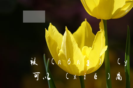 被農(nóng)業(yè)銀行起訴了還可以協(xié)商還款-被農(nóng)業(yè)銀行起訴了還可以協(xié)商還款嗎