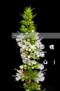 被迫性債務(wù)無力償還(被迫性債務(wù)無力償還怎么處理)