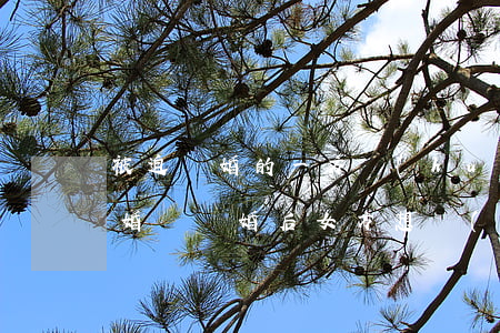 被迫離婚的一方會(huì)想復(fù)婚嗎(離婚后女方想復(fù)婚的表現(xiàn))