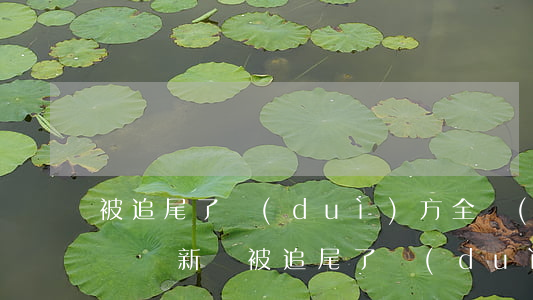 被追尾了對(duì)方全責(zé)怎么賠償(新車被追尾了對(duì)方全責(zé)怎么賠償)