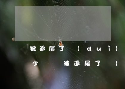 被追尾了對(duì)方全責(zé)陪多少錢(車被追尾了對(duì)方全責(zé)我能要求賠錢嗎)