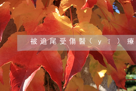 被追尾受傷醫(yī)療費如何賠償